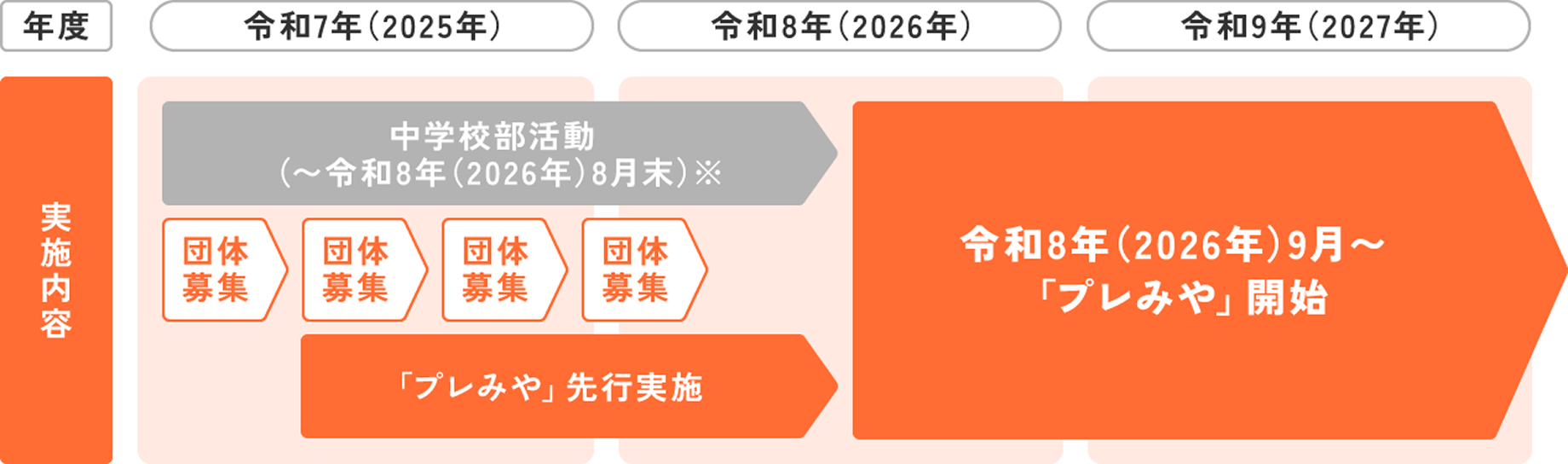 地域展開に向けたスケジュール